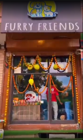 Furry Friends Jaipur Storefront